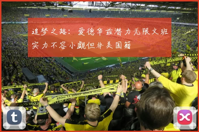 追梦之路：爱德华兹潜力无限文班实力不容小觑但非美国籍
