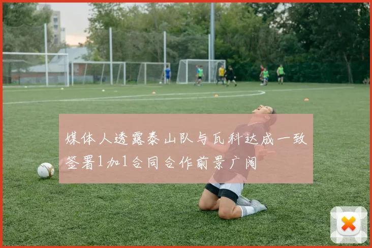 媒体人透露泰山队与瓦科达成一致签署1加1合同合作前景广阔